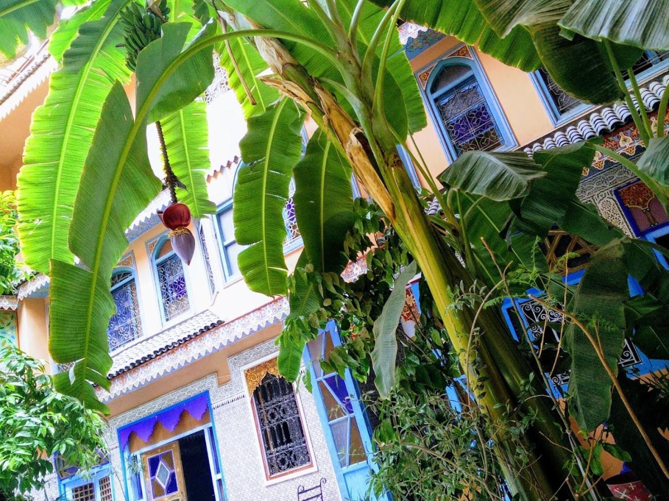 Riad Carole - Perfect For Families & Groups Маракеш Екстериор снимка
